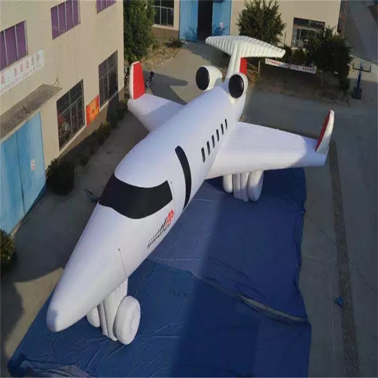 蕉城充气模型飞机